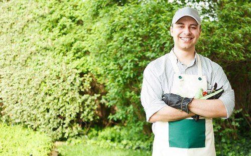 Professional weed control in Poplar