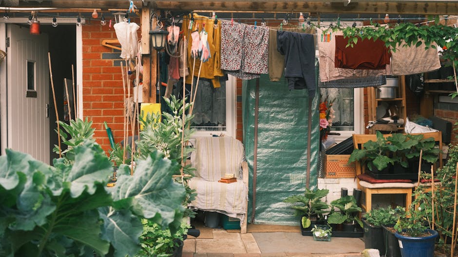 A small, cluttered garden shed exterior with a red brick wall and white-framed window. In the foreground, large leafy green plants and garden beds contain various potted plants and shrubs. A clothesli